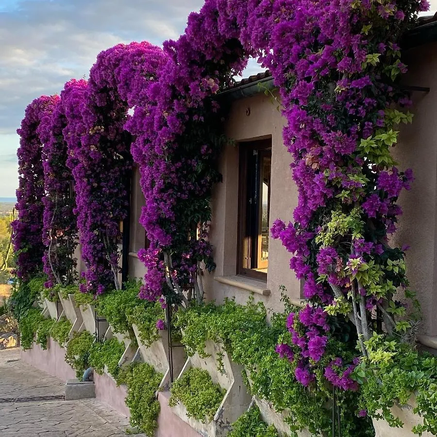 Country house Agroturisme Son Sama Llucmajor