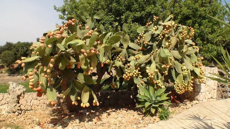 Agroturisme Son Sama Llucmajor  Llucmajor (Mallorca)