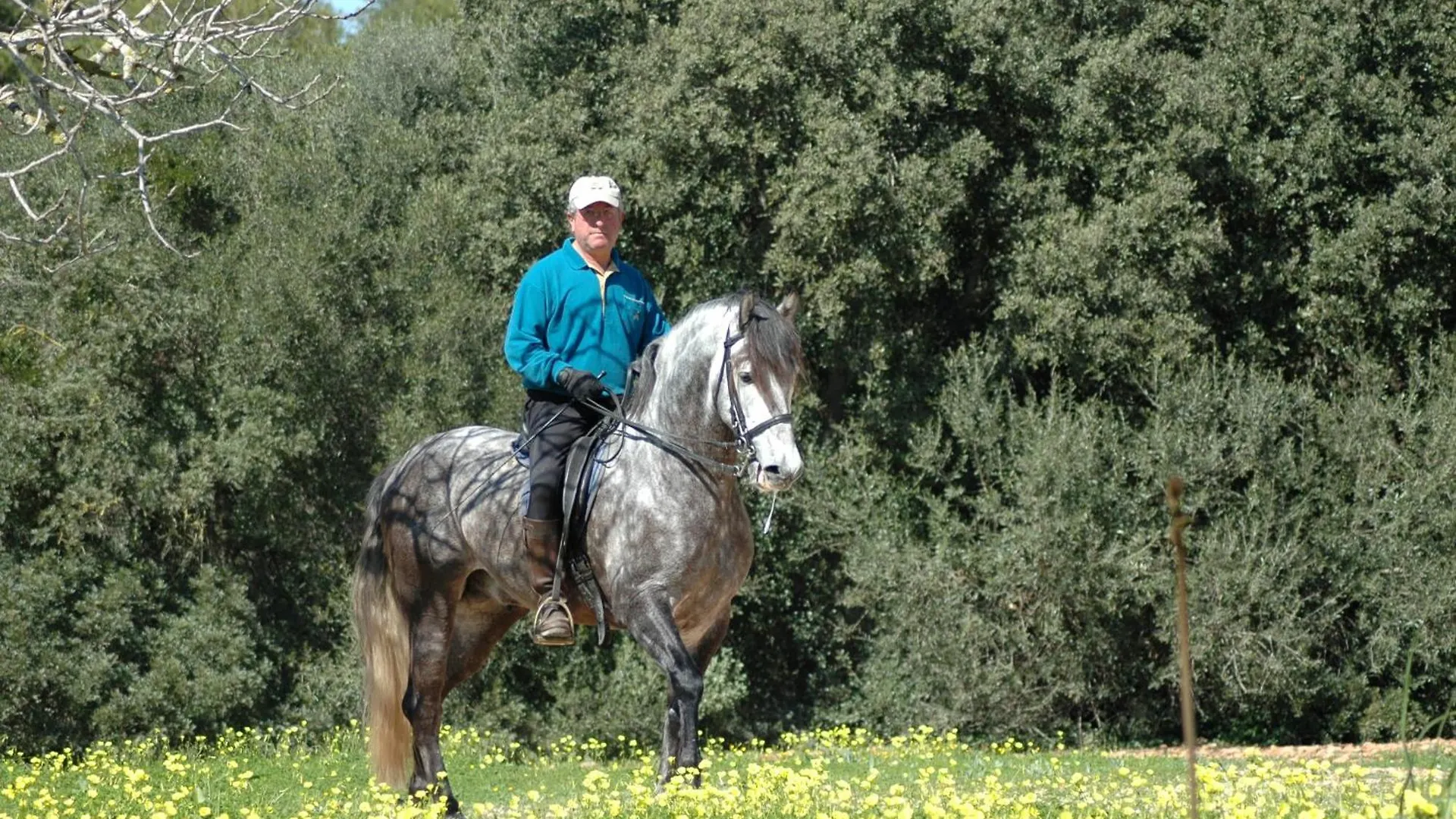 Agroturisme Son Sama Llucmajor  Venkovský dům Llucmajor (Mallorca)